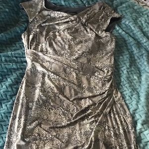 Grey snake skin